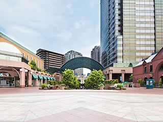 Ebisu / Daikanyama / JiyugaokaArea