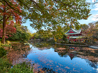 吉祥寺、三鹰、多摩、町田区