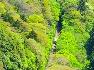 立川・八王子・高尾エリア