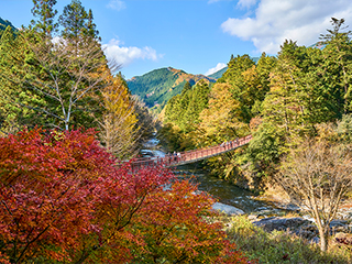 秋溜野、日之出、桧原区