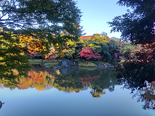 Suidobashi / HongoArea