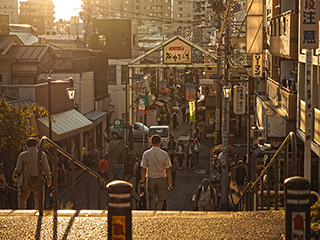 Yanaka / Nezu / SendagiArea