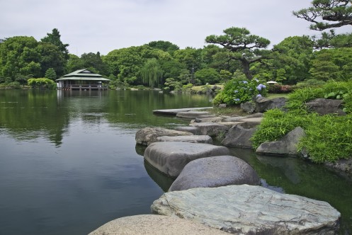 清澄庭園服務中心周圍