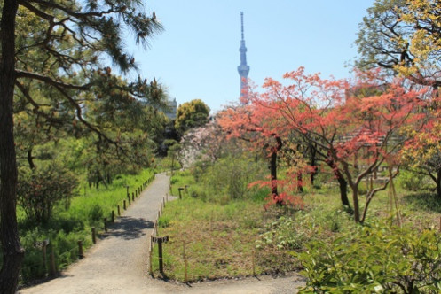 向島百花園サービスセンターの内観1・pc_2