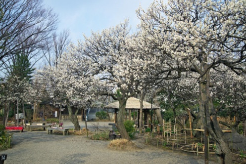 向島百花園サービスセンターの内観2・pc_3