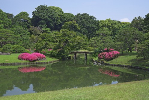 六義園の風景