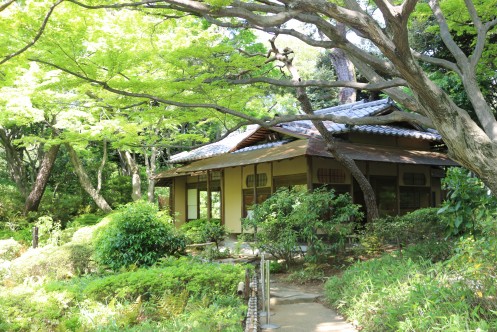 東京都庭園美術館の庭園・pc_3