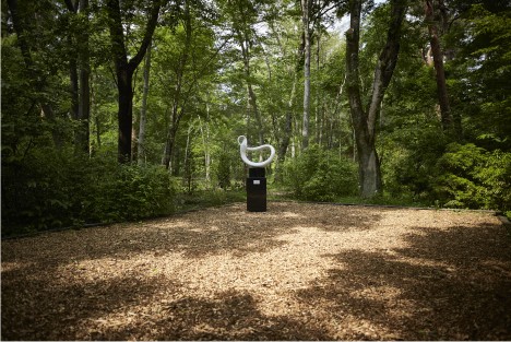 Distant photo of a sculpture exhibited in the forest 2・Computer