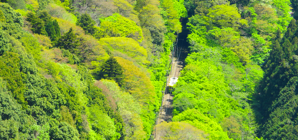 立川、八王子、高尾