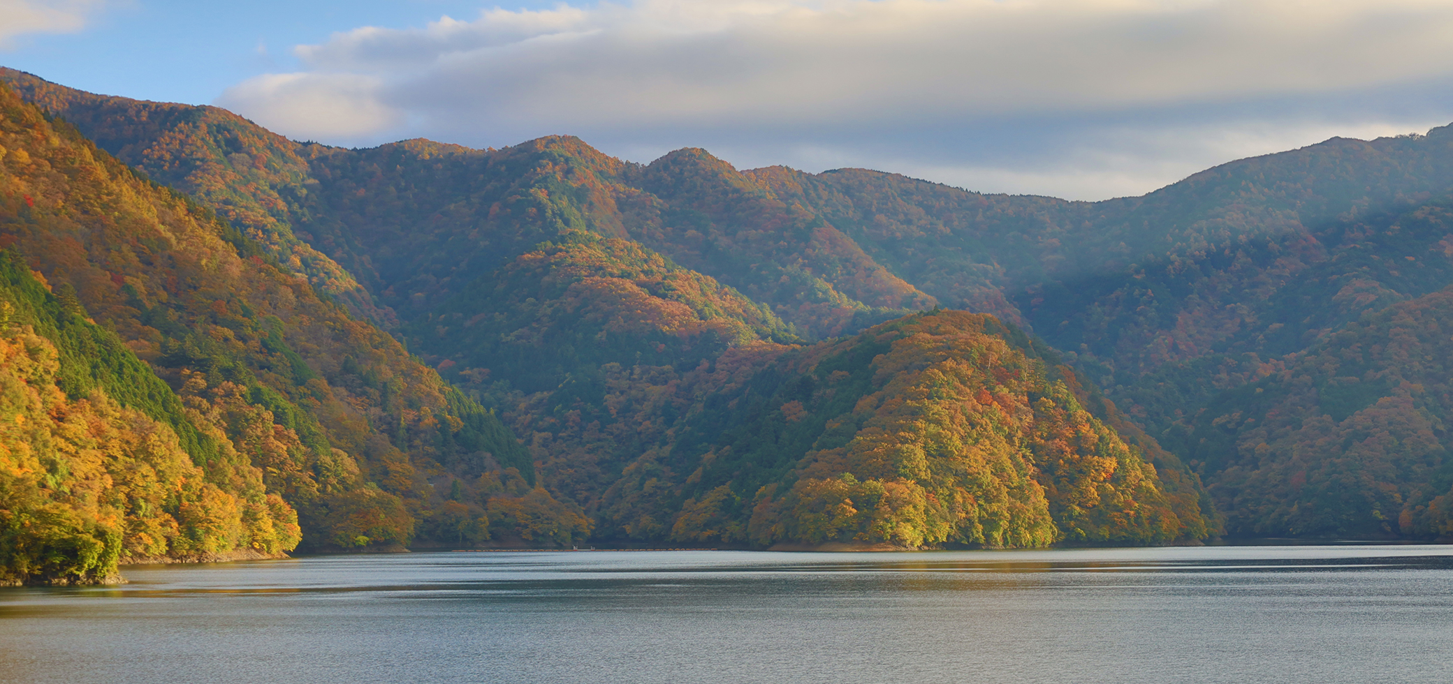 青梅・奥多摩