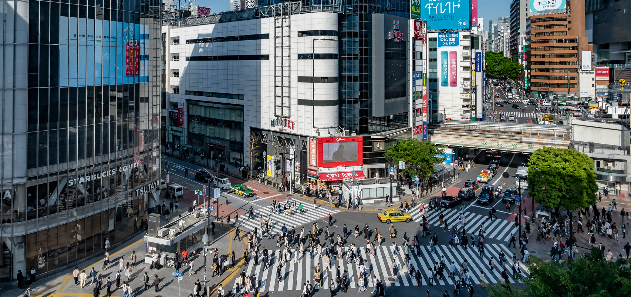 Shibuya / Harajuku / Omotesando