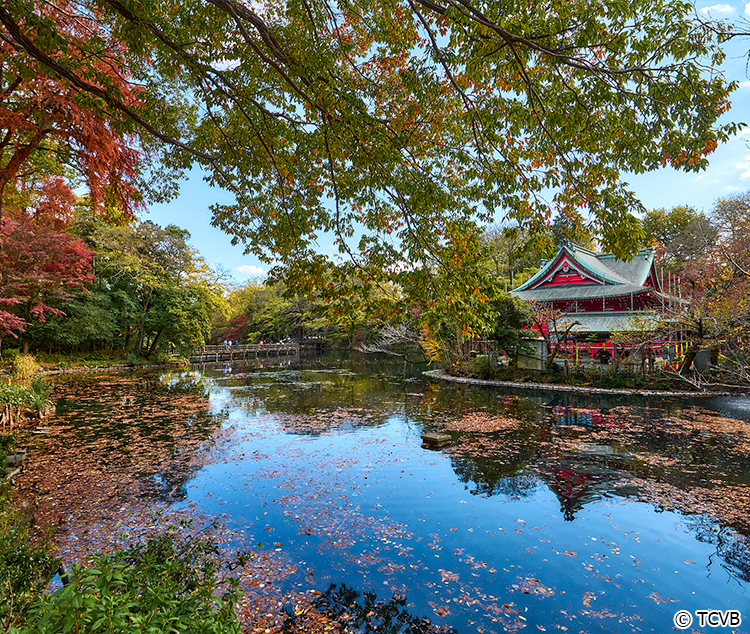 吉祥寺、三鹰、多摩、町田