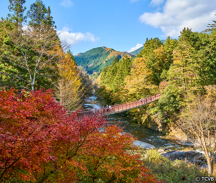 秋留野、日之出、檜原