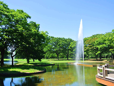 Yoyogi Park