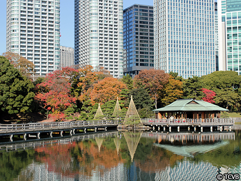 濱離宮恩賜庭園