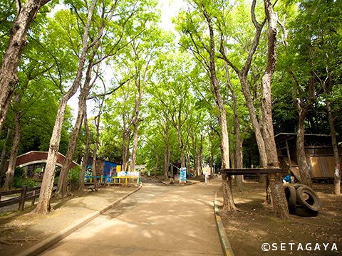 Setagaya Park