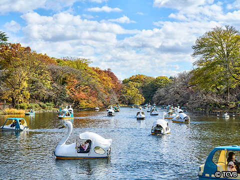 Inokashira Park