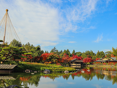 國營昭和紀念公園